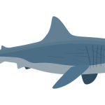 BG真人六合彩独占定制版-BG真人六合彩正版手机APP登录下载安装官方链接