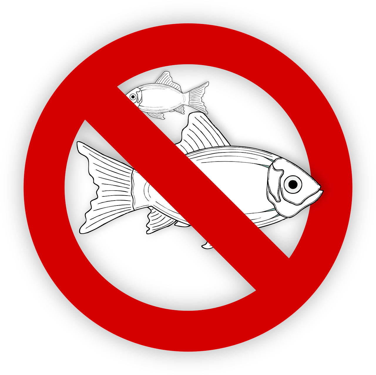 pixabay-995050-471.png